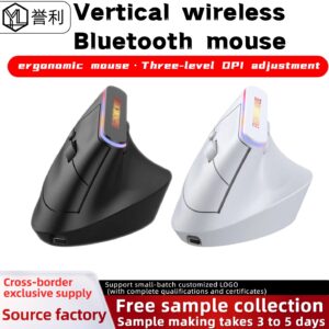 Silent Rechargeable Ergonomic Wireless Mouse